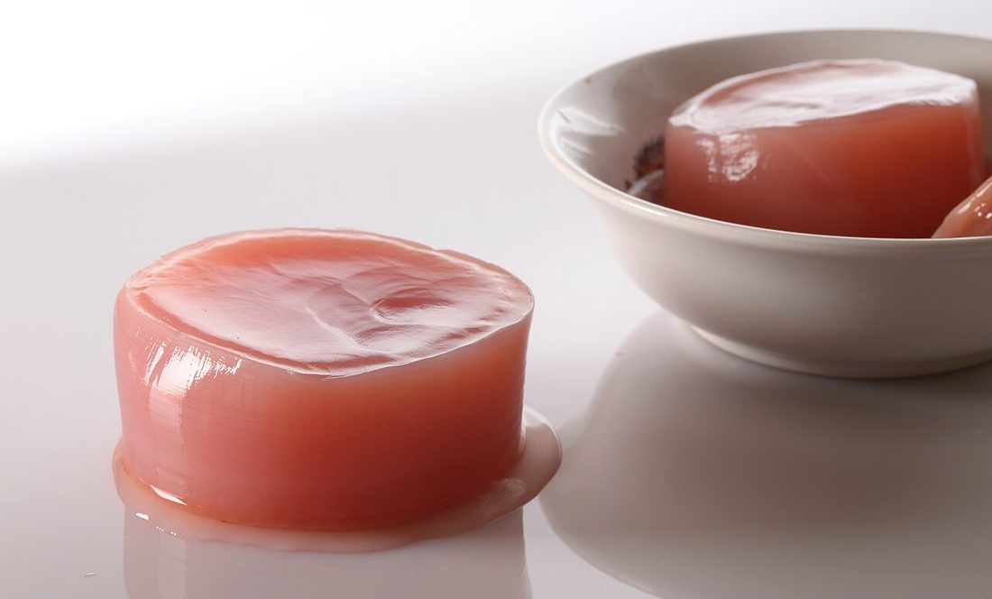 SCOBY de kombucha visto de cerca