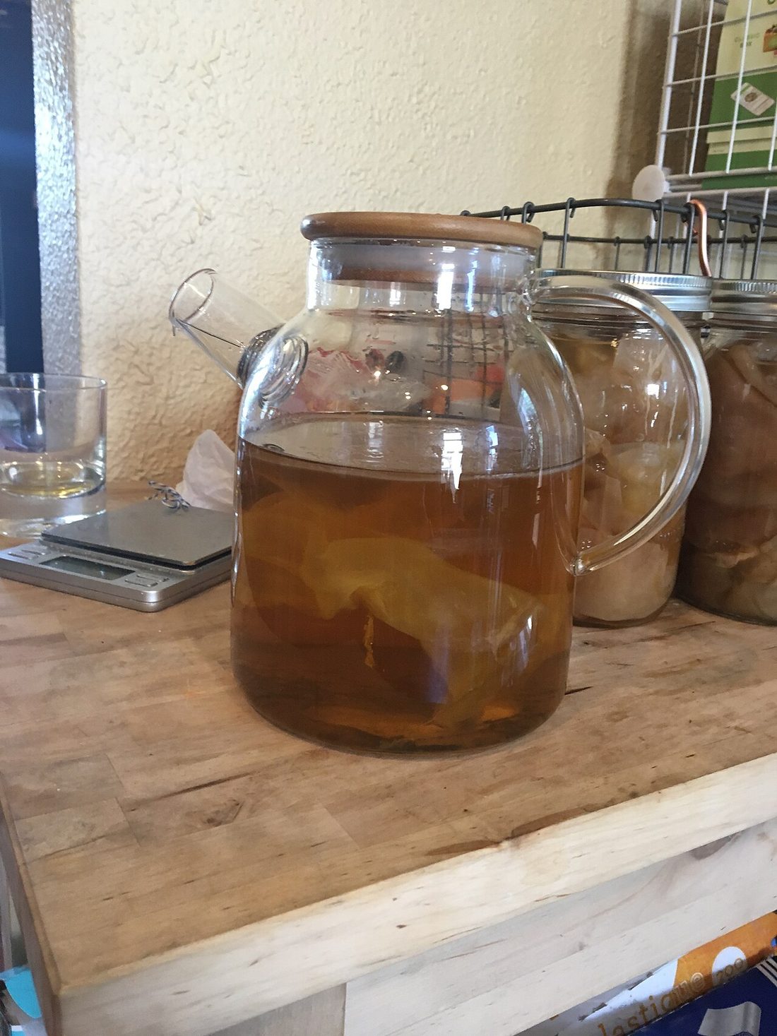 Hotel de SCOBY casero para conservar los cultivos